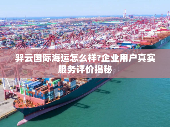 羿云国际海运怎么样?企业用户真实服务评价揭秘