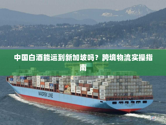 中国白酒能运到新加坡吗?跨境物流实操指南 中国白酒能运到新加坡吗?跨境物流实操指南