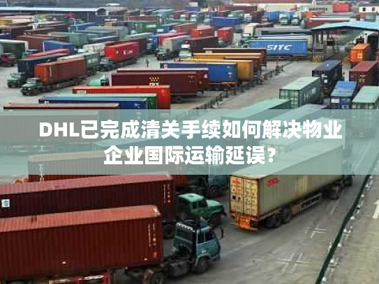 DHL已完成清关手续如何解决物业企业国际运输延误？