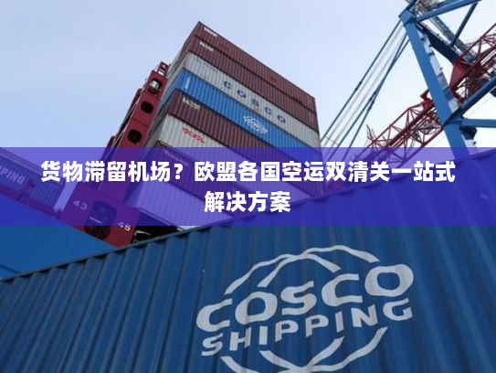 货物滞留机场?欧盟各国空运双清关一站式解决方案 货物滞留机场?欧盟各国空运双清关一站式解决方案