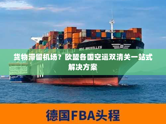货物滞留机场?欧盟各国空运双清关一站式解决方案 货物滞留机场?欧盟各国空运双清关一站式解决方案
