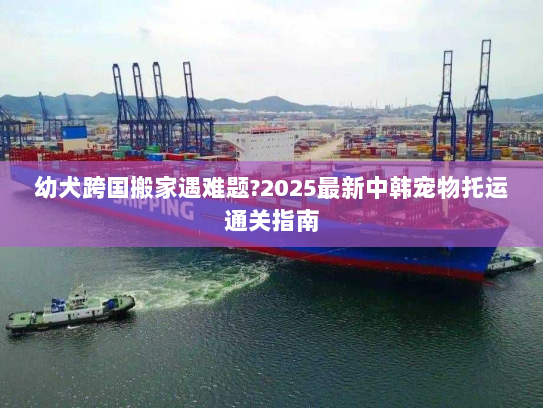 幼犬跨国搬家遇难题?2025最新中韩宠物托运通关指南 幼犬跨国搬家遇难题?2025最新中韩宠物托运通关指南