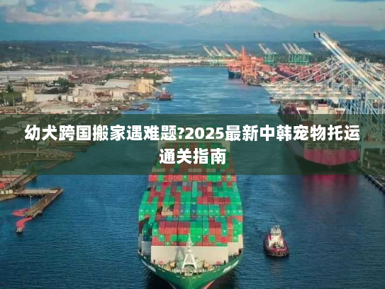幼犬跨国搬家遇难题?2025最新中韩宠物托运通关指南 幼犬跨国搬家遇难题?2025最新中韩宠物托运通关指南