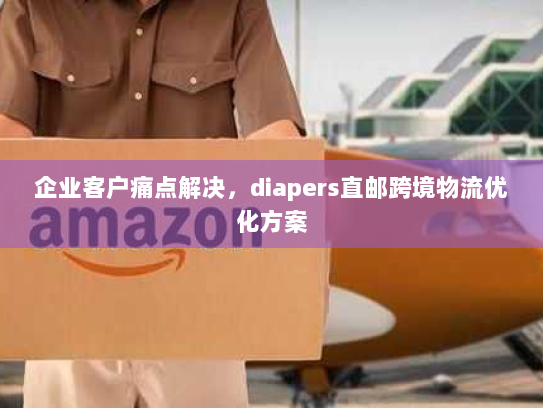 企业客户痛点解决，diapers直邮跨境物流优化方案