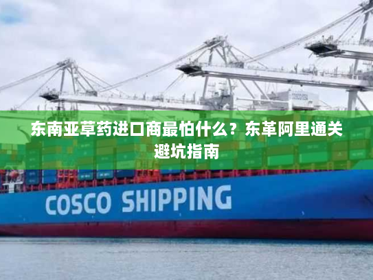 东南亚草药进口商最怕什么?东革阿里通关避坑指南 东南亚草药进口商最怕什么?东革阿里通关避坑指南