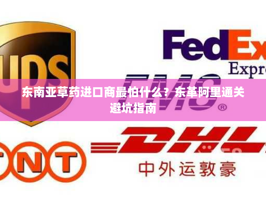 东南亚草药进口商最怕什么?东革阿里通关避坑指南 东南亚草药进口商最怕什么?东革阿里通关避坑指南
