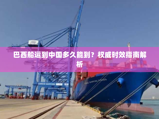 巴西船运到中国多久能到？权威时效指南解析