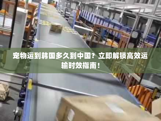 宠物运到韩国多久到中国?立即解锁高效运输时效指南! 宠物运到韩国多久到中国?立即解锁高效运输时效指南!