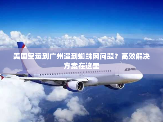 美国空运到广州遇到蜘蛛网问题？高效解决方案在这里