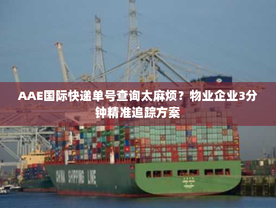 AAE国际快递单号查询太麻烦?物业企业3分钟精准追踪方案 AAE国际快递单号查询太麻烦?物业企业3分钟精准追踪方案