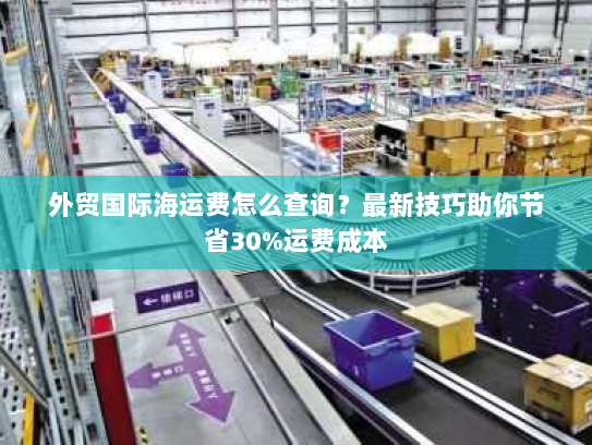 外贸国际海运费怎么查询？最新技巧助你节省30%运费成本