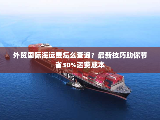 外贸国际海运费怎么查询？最新技巧助你节省30%运费成本