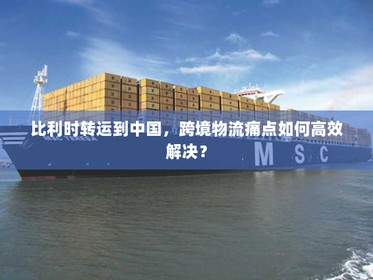 比利时转运到中国，跨境物流痛点如何高效解决？