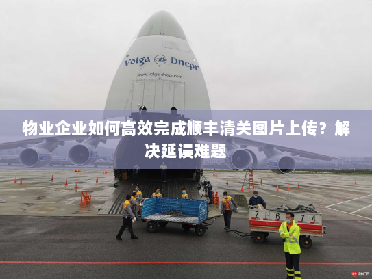 物业企业如何高效完成顺丰清关图片上传?解决延误难题 物业企业如何高效完成顺丰清关图片上传?解决延误难题