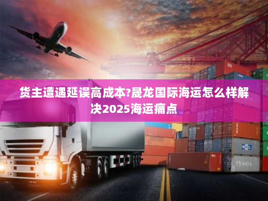 货主遭遇延误高成本?晟龙国际海运怎么样解决2025海运痛点
