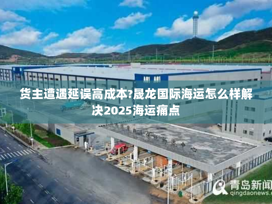 货主遭遇延误高成本?晟龙国际海运怎么样解决2025海运痛点 货主遭遇延误高成本?晟龙国际海运怎么样解决2025海运痛点