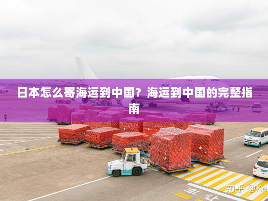 日本怎么寄海运到中国？海运到中国的完整指南