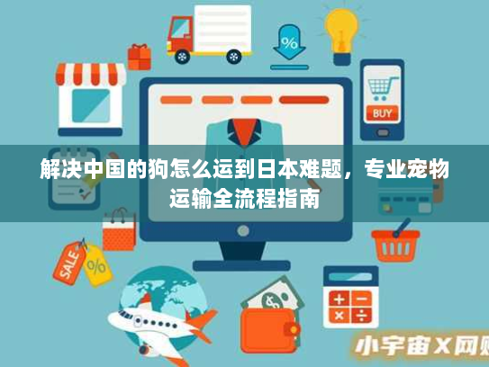 解决中国的狗怎么运到日本难题,专业宠物运输全流程指南 解决中国的狗怎么运到日本难题,专业宠物运输全流程指南