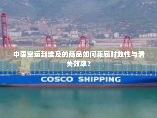 中国空运到埃及的商品如何兼顾时效性与清关效率? 中国空运到埃及的商品如何兼顾时效性与清关效率?