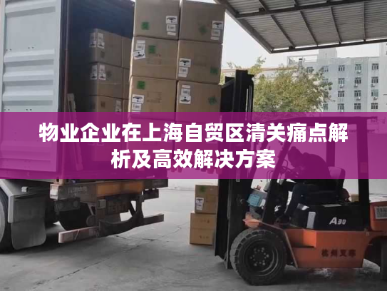 物业企业在上海自贸区清关痛点解析及高效解决方案