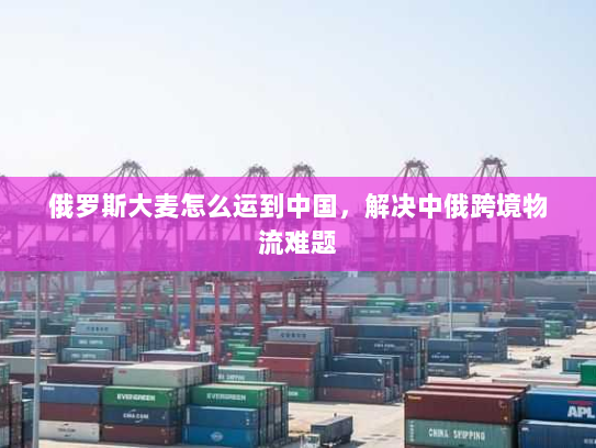 俄罗斯大麦怎么运到中国，解决中俄跨境物流难题