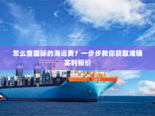 怎么查国际的海运费？一步步教你获取准确实时报价