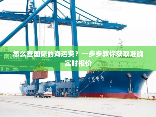 怎么查国际的海运费?一步步教你获取准确实时报价 怎么查国际的海运费?一步步教你获取准确实时报价