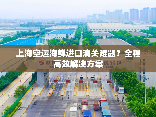 上海空运海鲜进口清关难题？全程高效解决方案