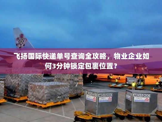 飞扬国际快递单号查询全攻略,物业企业如何3分钟锁定包裹位置? 飞扬国际快递单号查询全攻略,物业企业如何3分钟锁定包裹位置?