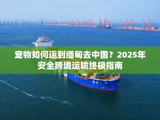 宠物如何运到缅甸去中国?2025年安全跨境运输终极指南 宠物如何运到缅甸去中国?2025年安全跨境运输终极指南