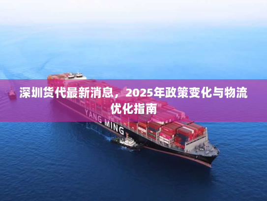 深圳货代最新消息，2025年政策变化与物流优化指南