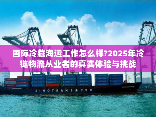 国际冷藏海运工作怎么样?2025年冷链物流从业者的真实体验与挑战