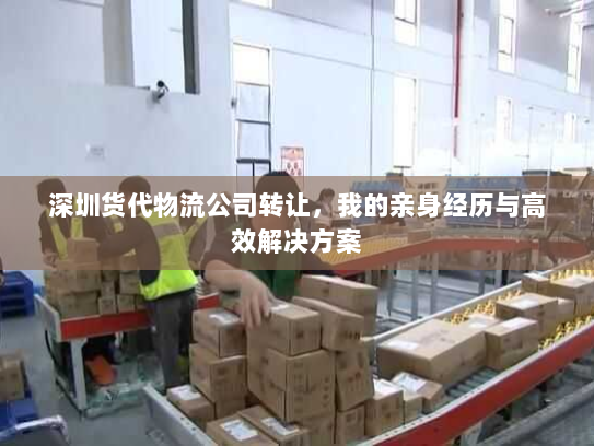 深圳货代物流公司转让，我的亲身经历与高效解决方案