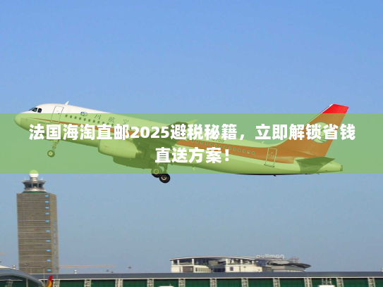 法国海淘直邮2025避税秘籍,立即解锁省钱直送方案! 法国海淘直邮2025避税秘籍,立即解锁省钱直送方案!