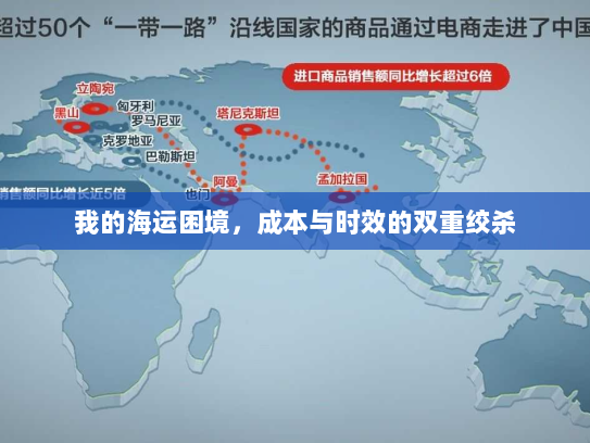 我的海运困境，成本与时效的双重绞杀