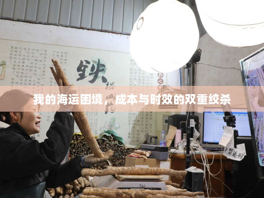 我的海运困境，成本与时效的双重绞杀