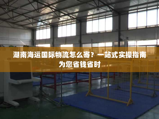湖南海运国际物流怎么寄?一站式实操指南为您省钱省时 湖南海运国际物流怎么寄?一站式实操指南为您省钱省时