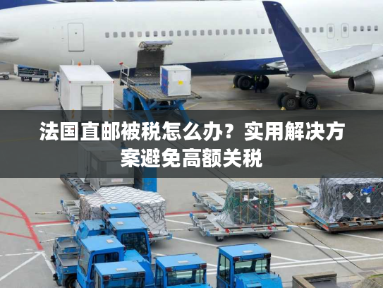 法国直邮被税怎么办？实用解决方案避免高额关税