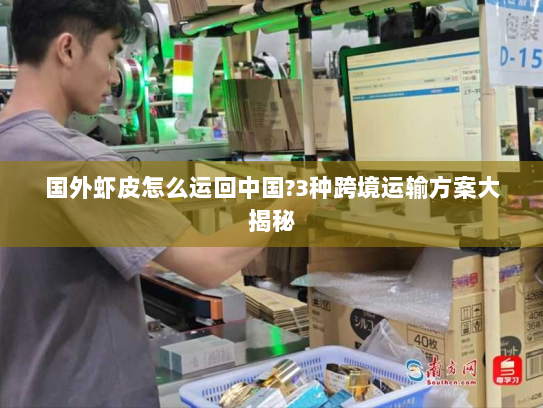 国外虾皮怎么运回中国?3种跨境运输方案大揭秘 国外虾皮怎么运回中国?3种跨境运输方案大揭秘