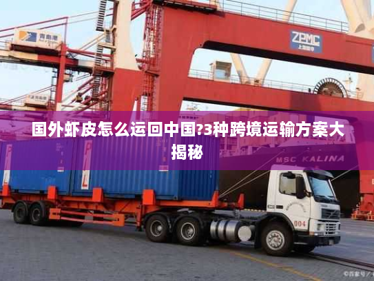 国外虾皮怎么运回中国?3种跨境运输方案大揭秘 国外虾皮怎么运回中国?3种跨境运输方案大揭秘