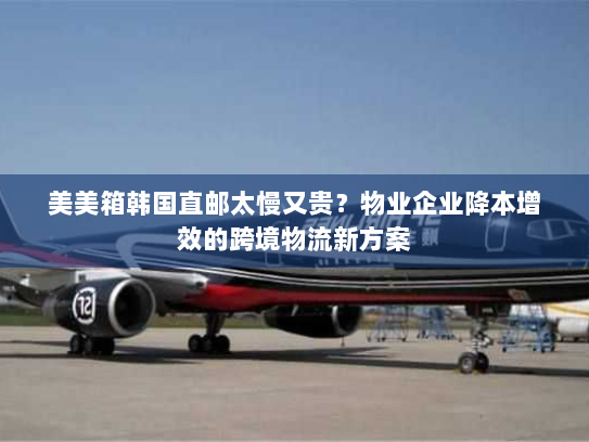 美美箱韩国直邮太慢又贵?物业企业降本增效的跨境物流新方案 美美箱韩国直邮太慢又贵?物业企业降本增效的跨境物流新方案