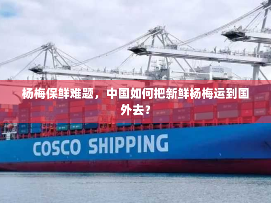 杨梅保鲜难题,中国如何把新鲜杨梅运到国外去? 杨梅保鲜难题,中国如何把新鲜杨梅运到国外去?