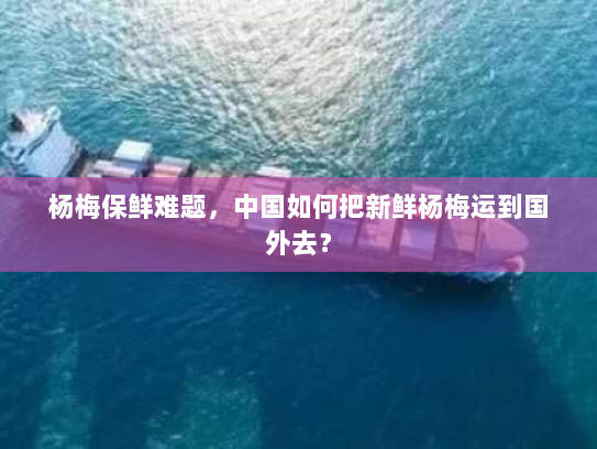 杨梅保鲜难题,中国如何把新鲜杨梅运到国外去? 杨梅保鲜难题,中国如何把新鲜杨梅运到国外去?