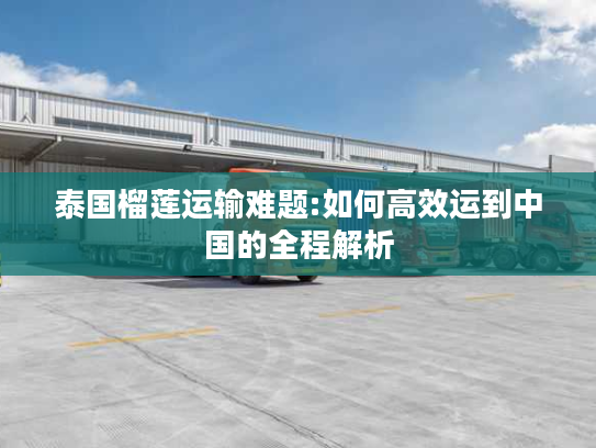 泰国榴莲运输难题:如何高效运到中国的全程解析