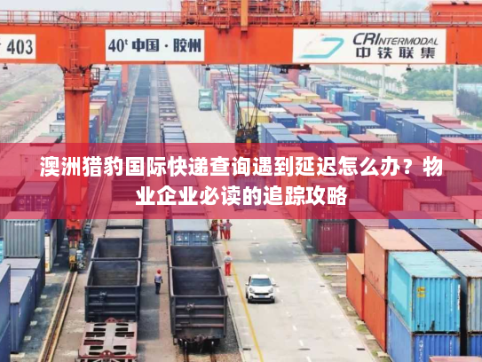 澳洲猎豹国际快递查询遇到延迟怎么办？物业企业必读的追踪攻略