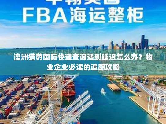 澳洲猎豹国际快递查询遇到延迟怎么办？物业企业必读的追踪攻略