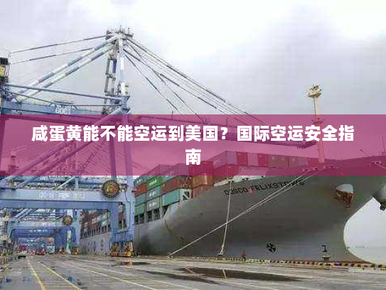 咸蛋黄能不能空运到美国？国际空运安全指南