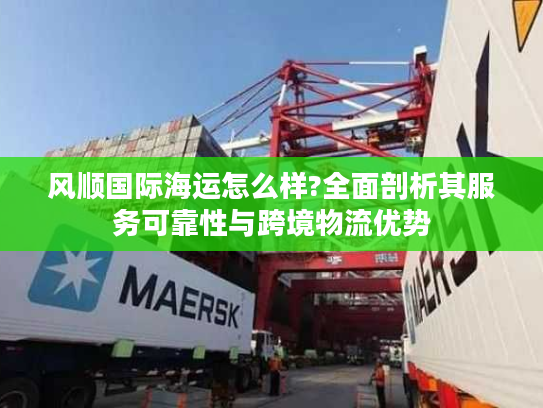 风顺国际海运怎么样?全面剖析其服务可靠性与跨境物流优势