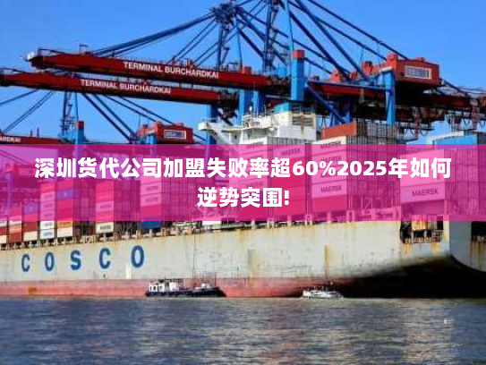 深圳货代公司加盟失败率超60%2025年如何逆势突围! 深圳货代公司加盟失败率超60%2025年如何逆势突围!