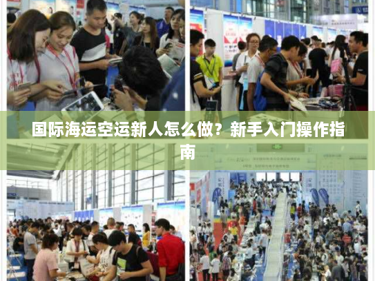 国际海运空运新人怎么做?新手入门操作指南 国际海运空运新人怎么做?新手入门操作指南